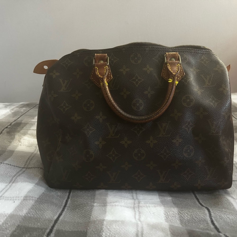 Louis Vuitton Brown Monogram Handbag